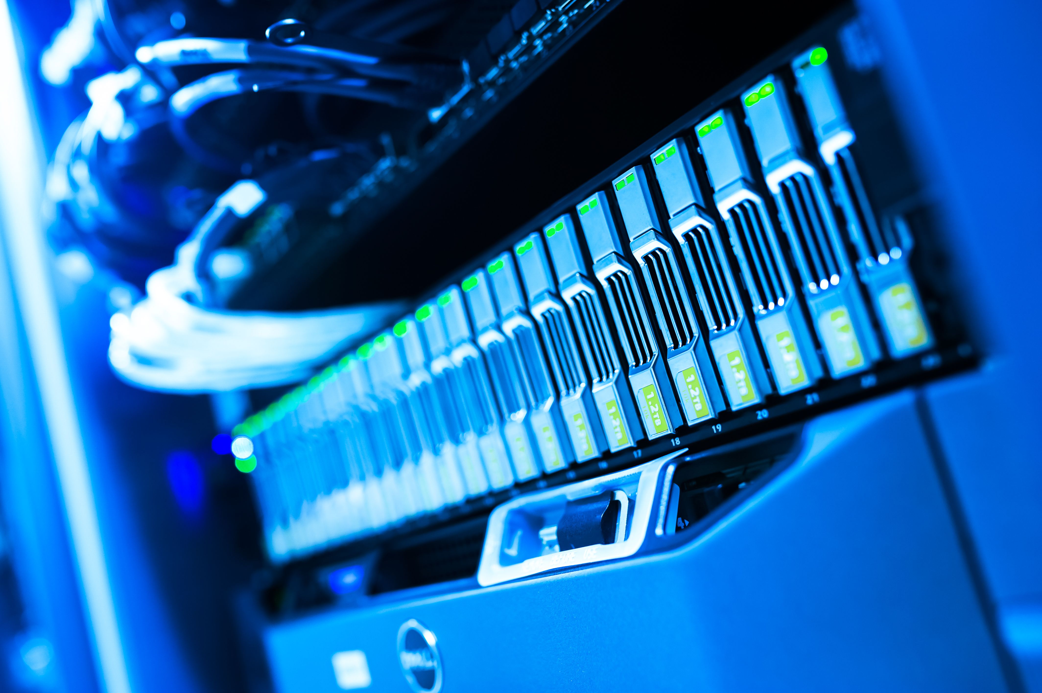 Technology Services